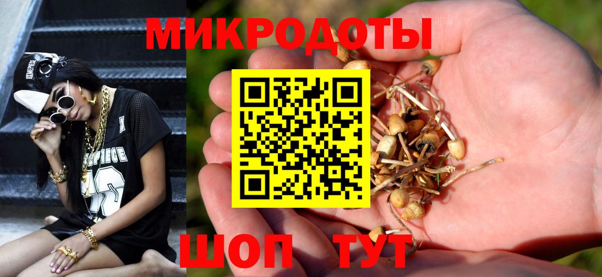 Галлюциногенные грибы ЛСД  Псилоцибиновые грибы Psilocybe  где найти   Вход с VPN  Шебекино 